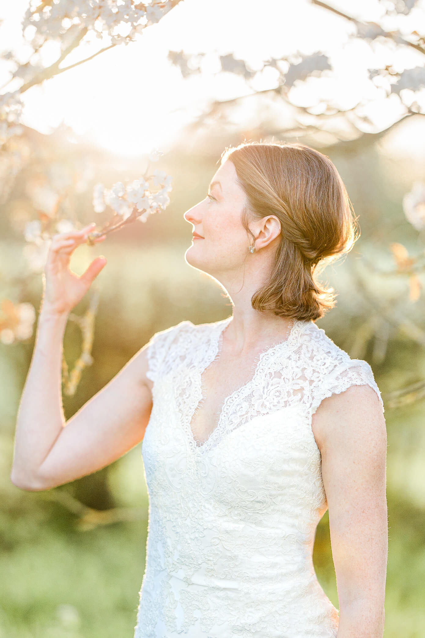 A bride gently touches a cherry tree and looks up at the blossoms, as the sun glows from behind.