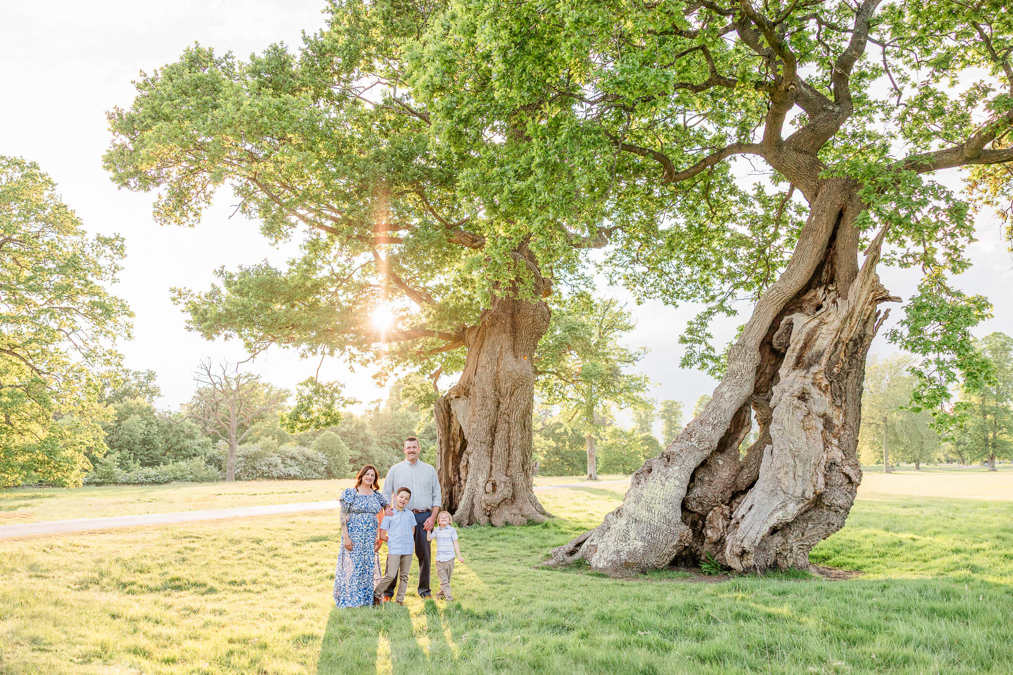 A beautiful family of four stands in front of two ancient trees in a parkland with the sun setting in the background.