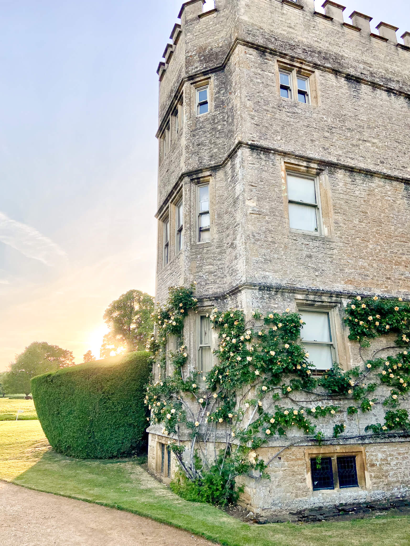 The side of Rousham House as the roses grow on the building in the summertime and the sun sets behind with a beautiful blue sky.