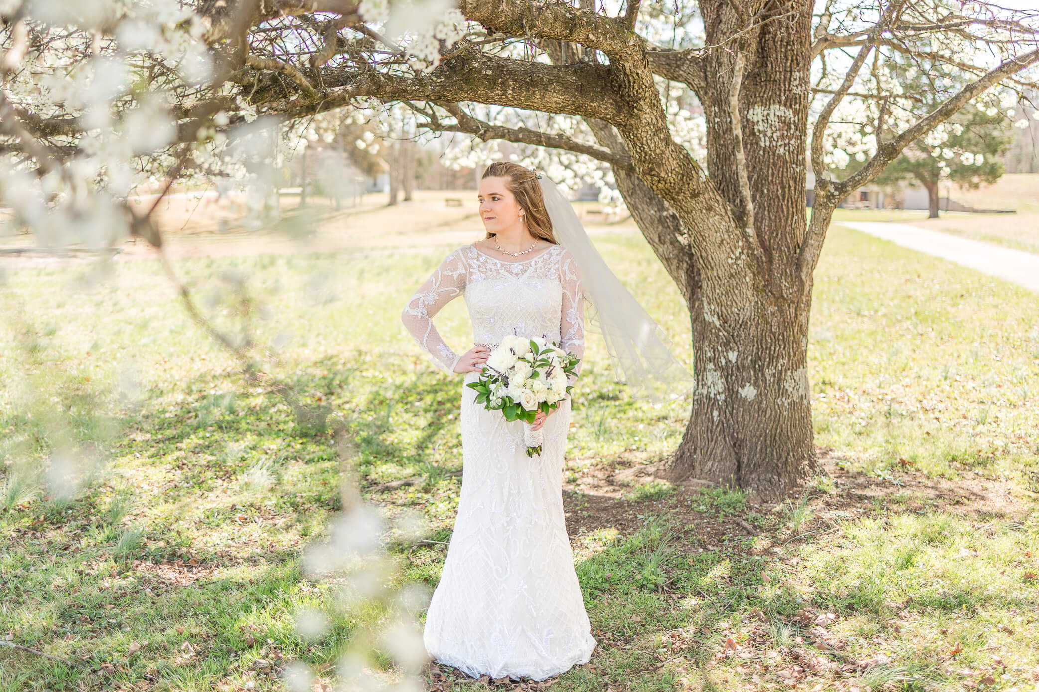 A bride poses beneath a cherry blossom tree on a beautiful spring day