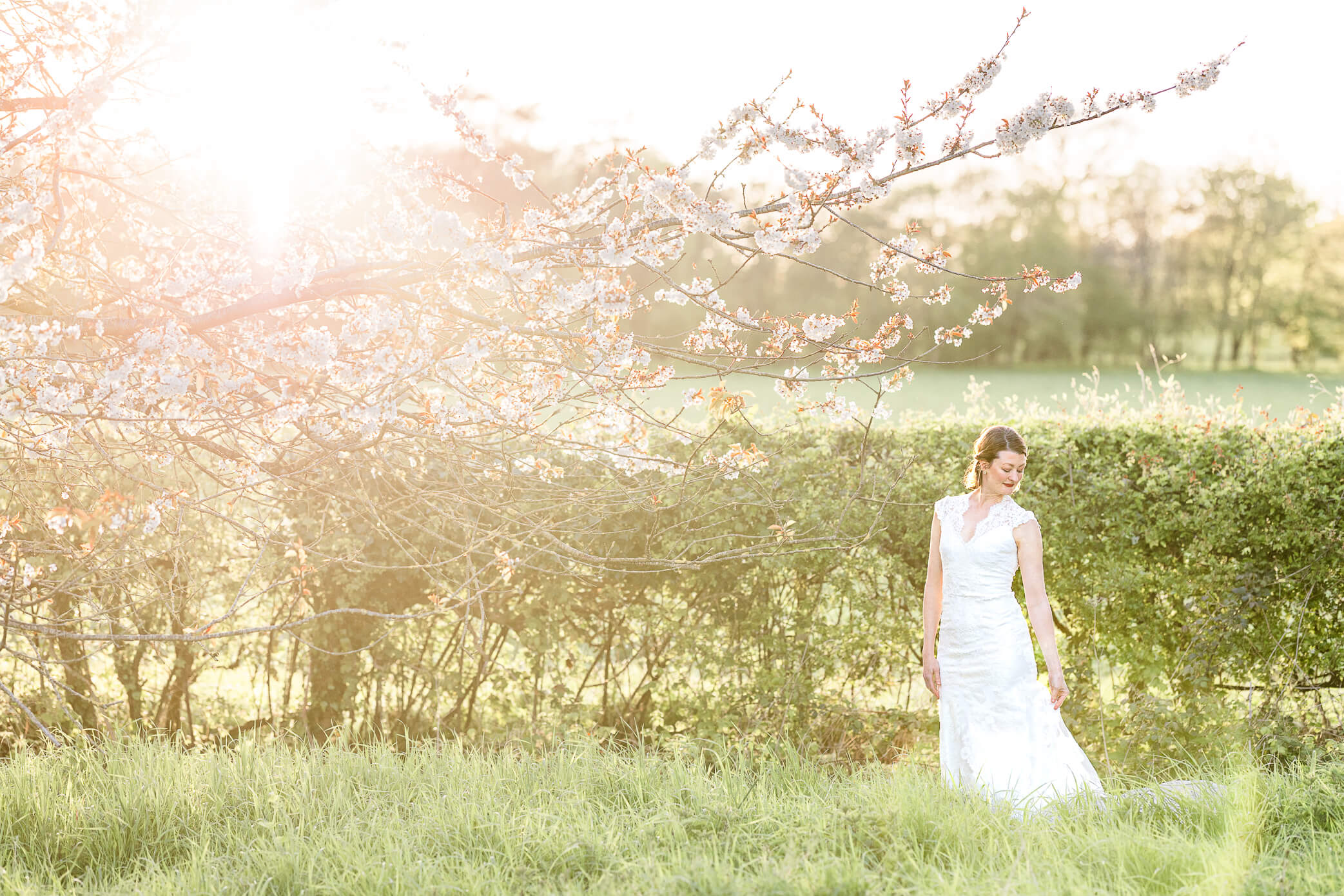 A bride stands in a meadow with some shrubs behind her, next to a tree as the sun sets in the background.