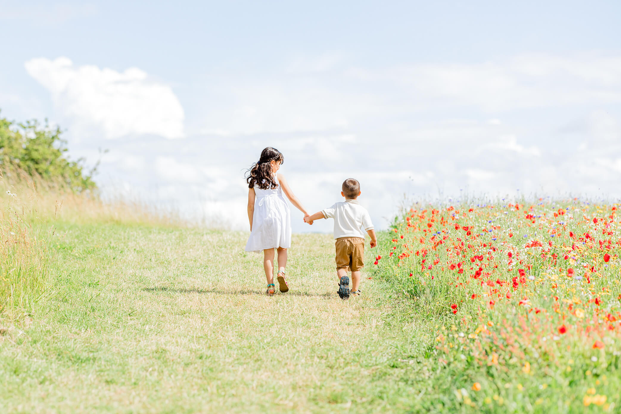 A sister and brother walk away hand in hand next to a meadow of wildflowers.