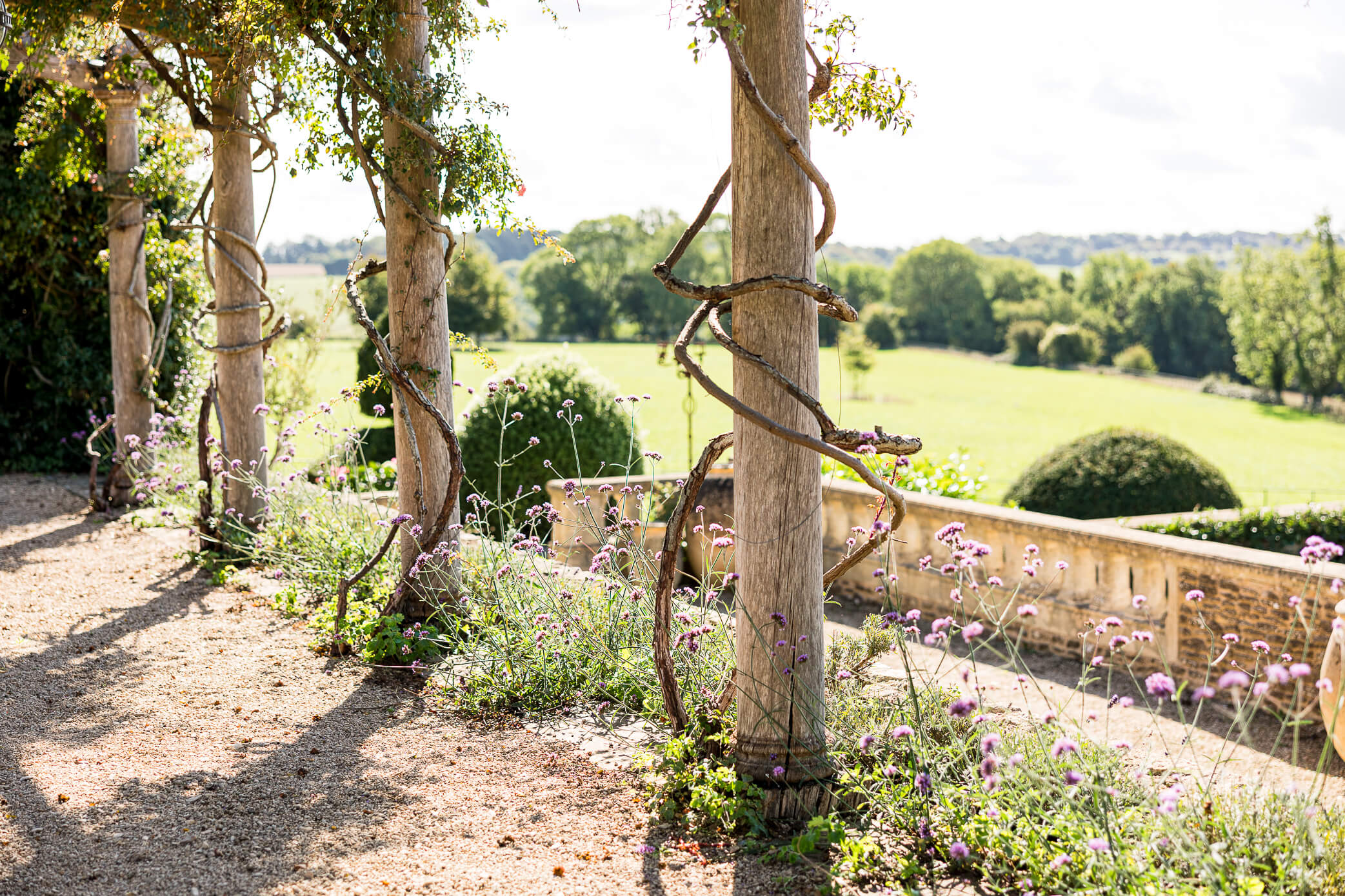 A view of the countryside from inside of the rose pergola, where ancient vines wrap around the columns