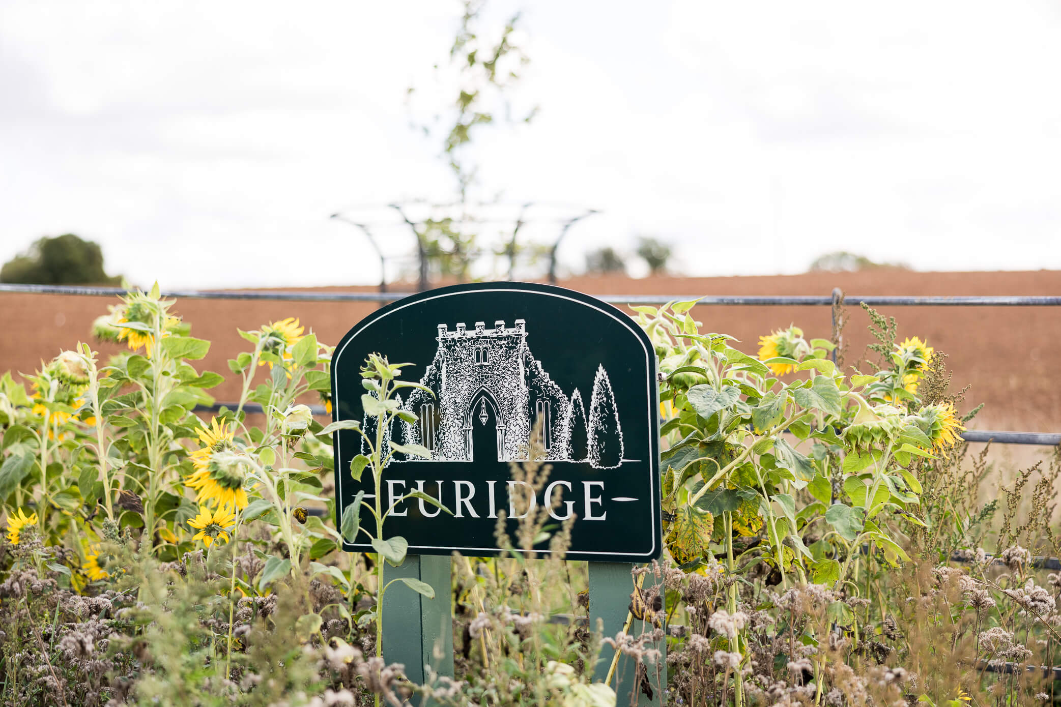 A sign for Euridge Manor tucked between sunflowers at the entrance of the estate with a pretty logo drawing of the manor on the sign